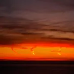 Dream In The Sky * 칼라고노네